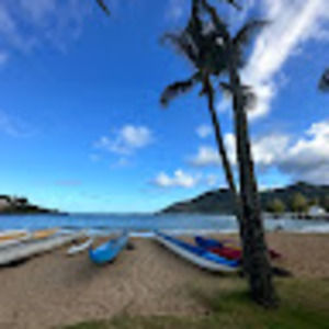 Meet your Posher, Barbara